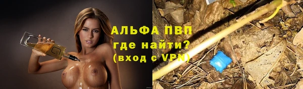 прущая мука Гусев