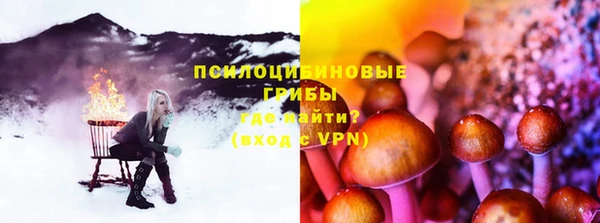 прущая мука Гусев