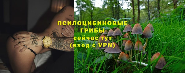 прущая мука Гусев