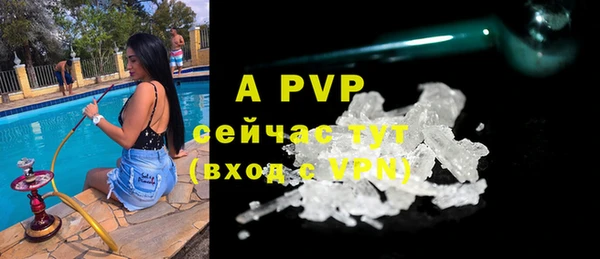 прущая мука Гусев